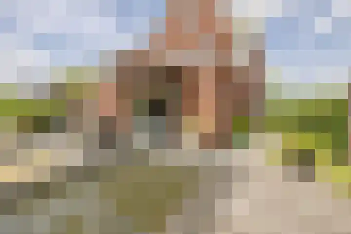 Johannes van Dreghtstraat 24 Rijen thumbnail 28