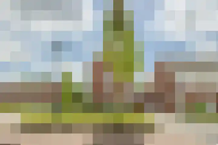 Johannes van Dreghtstraat 24 Rijen thumbnail 64