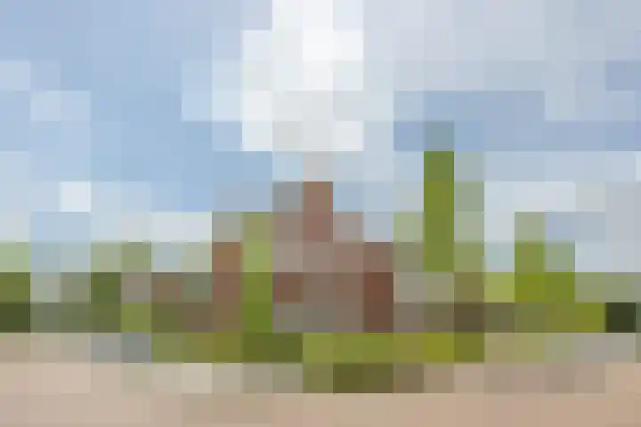 Johannes van Dreghtstraat 24 Rijen thumbnail 65
