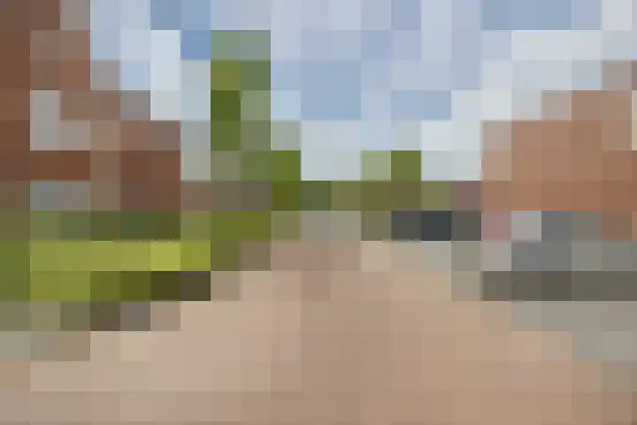 Johannes van Dreghtstraat 24 Rijen thumbnail 67