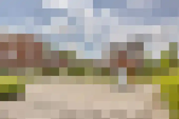 Johannes van Dreghtstraat 24 Rijen thumbnail 70