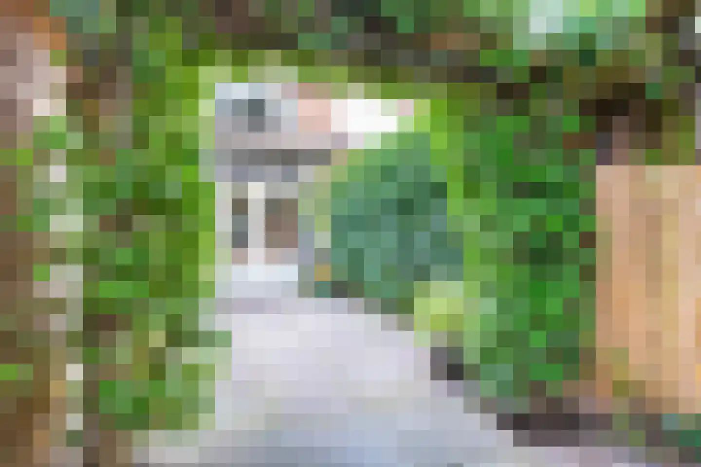 Johannes van Eindhovenstraat 20 Eindhoven thumbnail 45