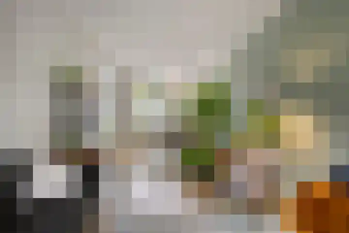 Johannes van Eindhovenstraat 23 Eindhoven thumbnail 11