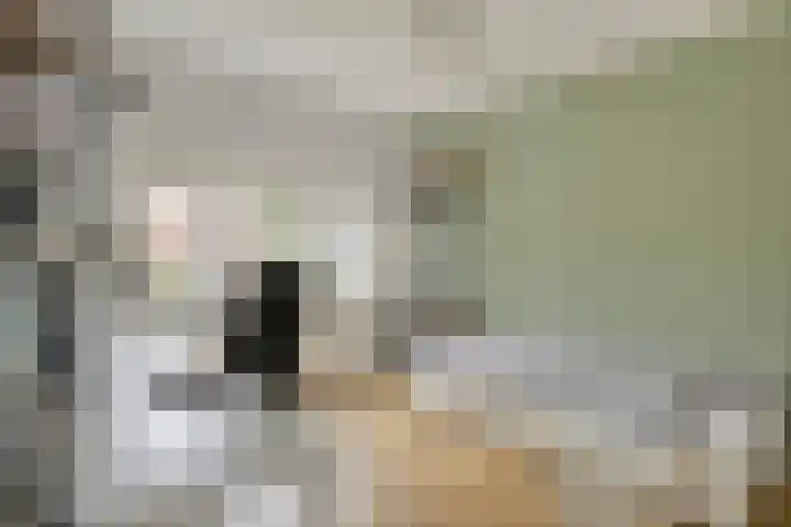 Johannes van Eindhovenstraat 23 Eindhoven thumbnail 16