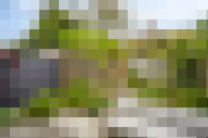 Johannes van Eindhovenstraat 23 Eindhoven thumbnail 5
