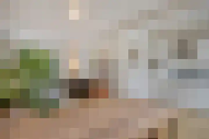 Johannes van Eindhovenstraat 23 Eindhoven thumbnail 9