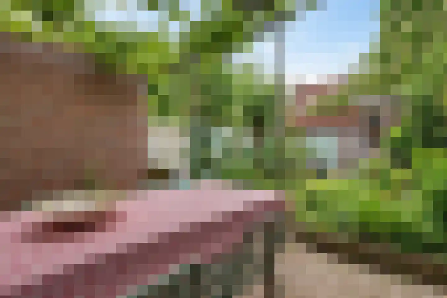 Johannes van Eindhovenstraat 4 Eindhoven thumbnail 30