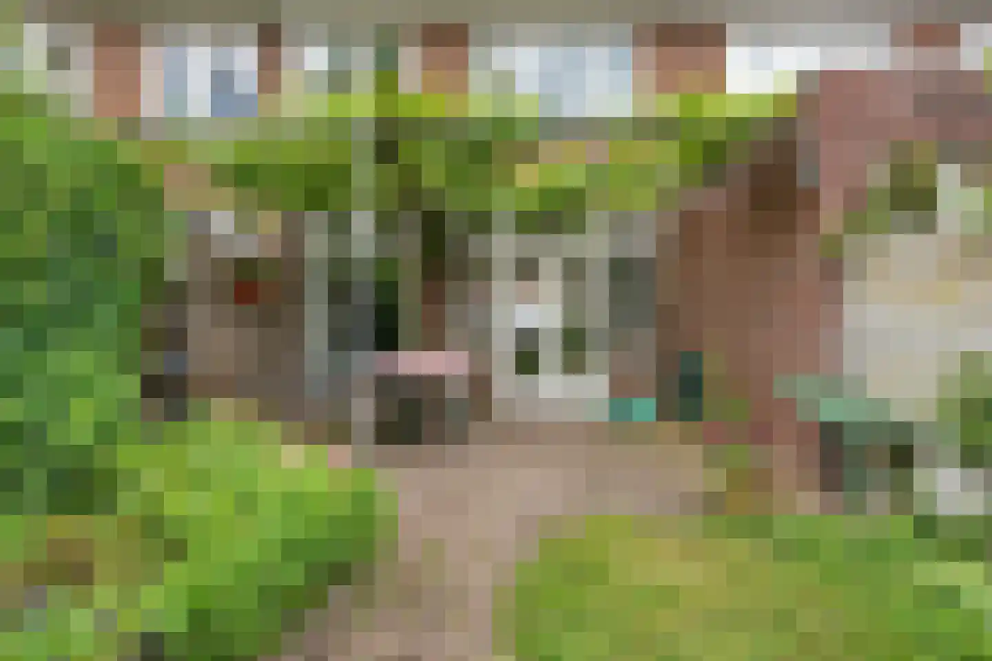 Johannes van Eindhovenstraat 4 Eindhoven thumbnail 36