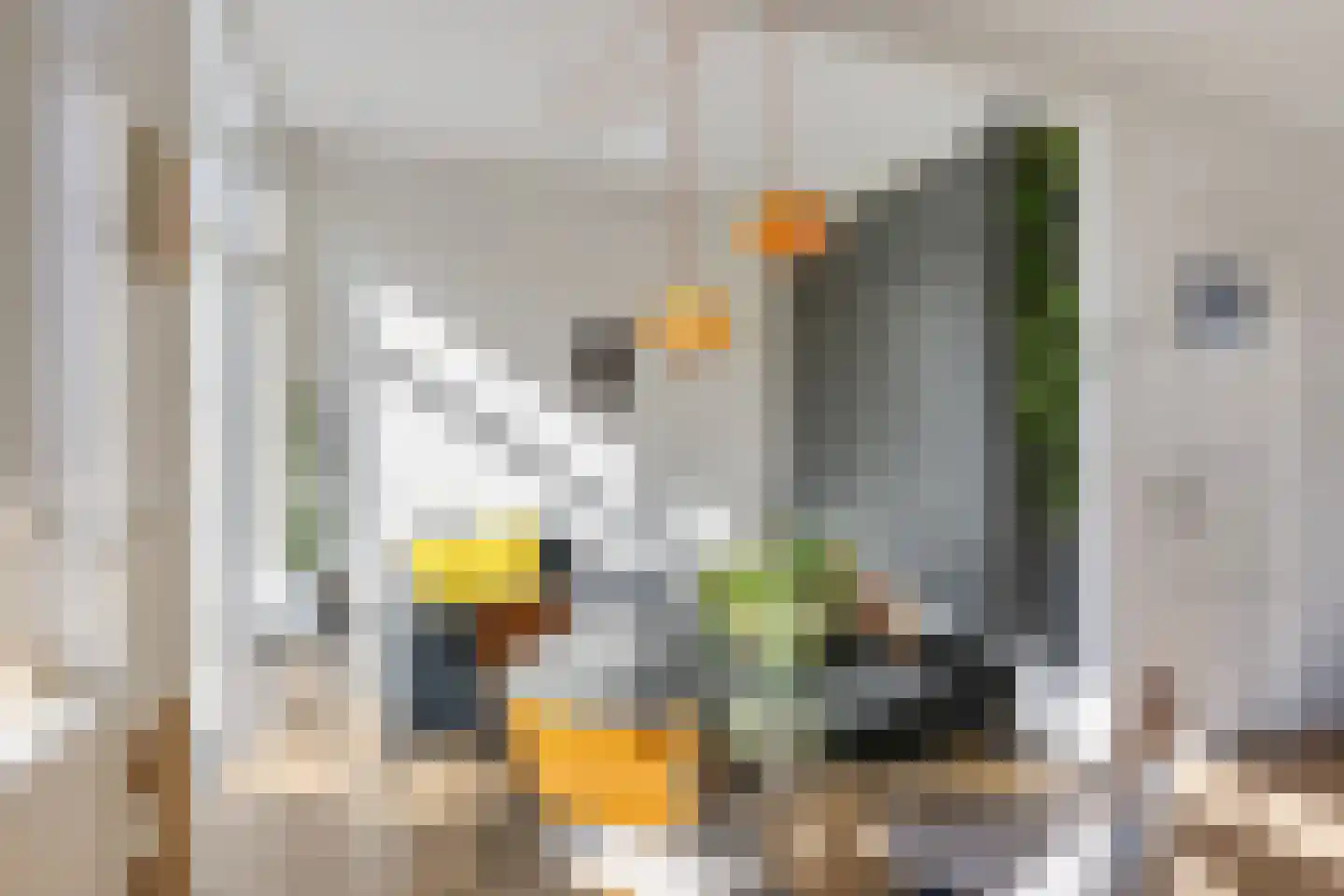 Johannes van Eindhovenstraat 4 Eindhoven thumbnail 5