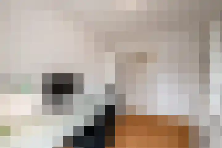 Johannes van Horstoklaan 10 Alkmaar thumbnail 18