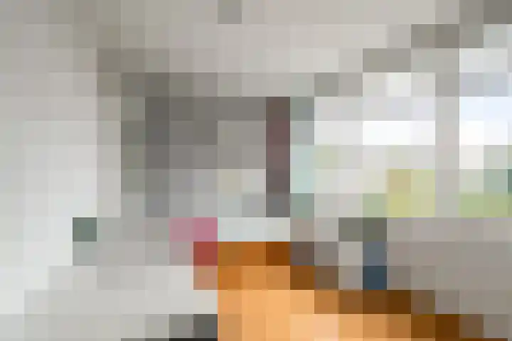 Johannes van Horstoklaan 10 Alkmaar thumbnail 22