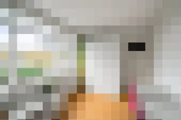 Johannes van Horstoklaan 10 Alkmaar thumbnail 23