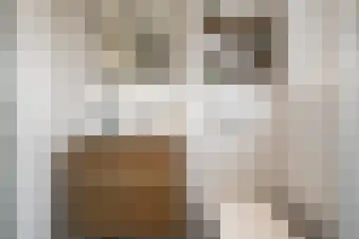 Johannes van Horstoklaan 10 Alkmaar thumbnail 25
