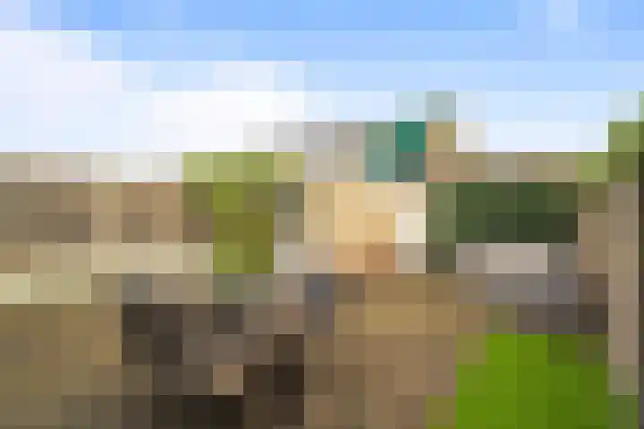 Johannes van Horstoklaan 10 Alkmaar thumbnail 34