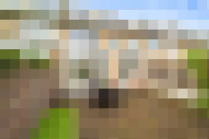 Johannes van Horstoklaan 10 Alkmaar thumbnail 35