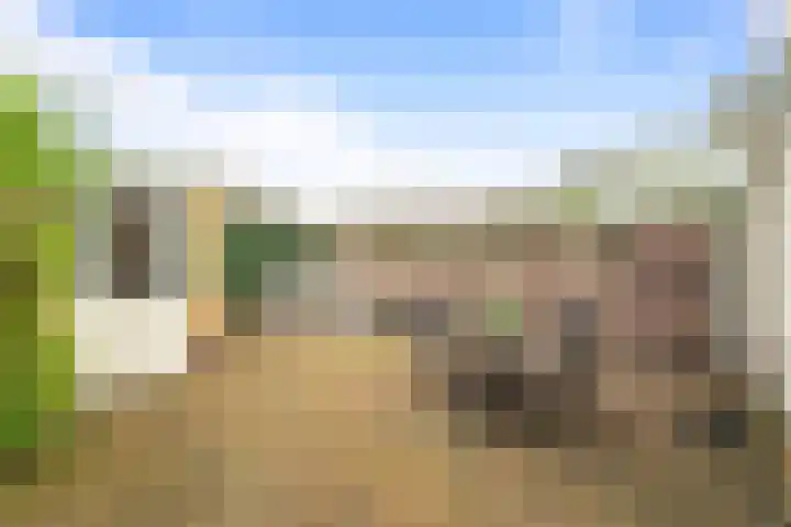 Johannes van Horstoklaan 10 Alkmaar thumbnail 4