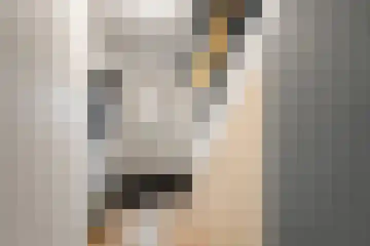Johannes van Horstoklaan 10 Alkmaar thumbnail 6