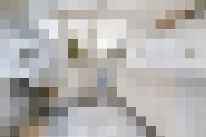 Johannes van Horstoklaan 4 Alkmaar thumbnail 10