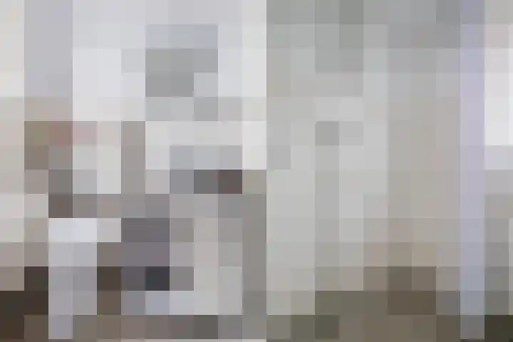 Johannes van Horstoklaan 4 Alkmaar thumbnail 22