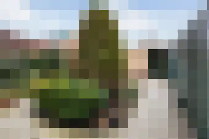Johannes van Horstoklaan 4 Alkmaar thumbnail 27
