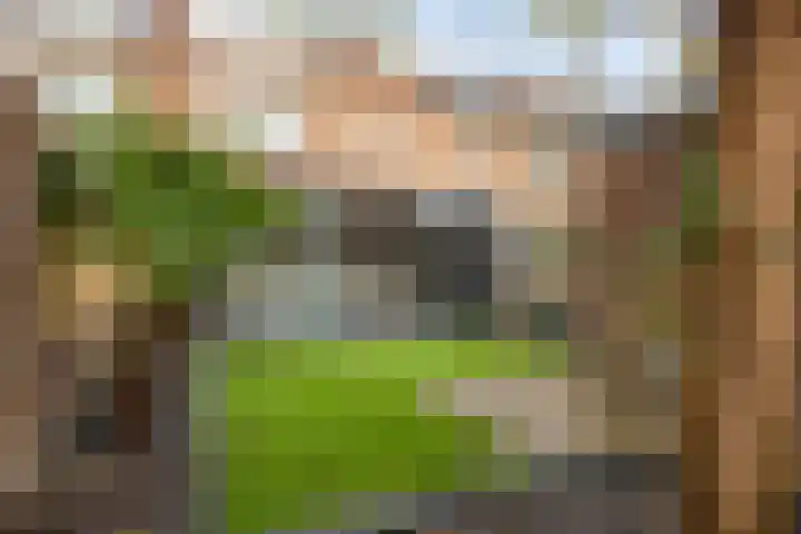 Johannes van Vlotenlaan 23 Deventer thumbnail 13