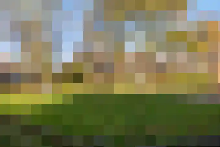 Johannes van Vlotenlaan 23 Deventer thumbnail 25