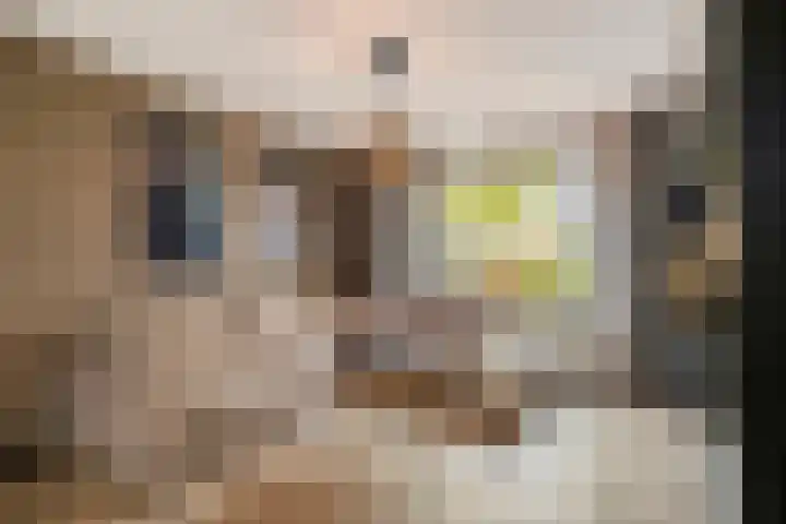 Johannes van Vlotenlaan 23 Deventer thumbnail 4