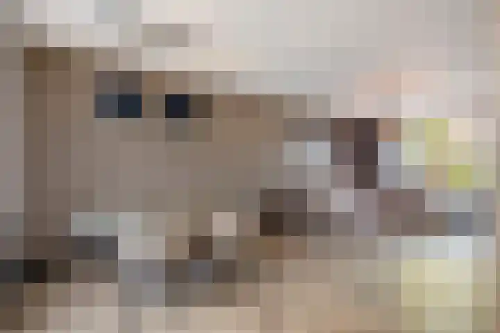 Johannes van Vlotenlaan 23 Deventer thumbnail 6