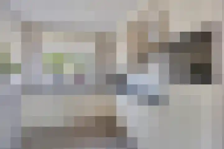 Johannes van Zantenplein 17 Kesteren thumbnail 11