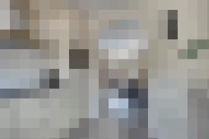 Johannes van Zantenplein 17 Kesteren thumbnail 12
