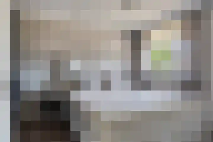 Johannes van Zantenplein 17 Kesteren thumbnail 15