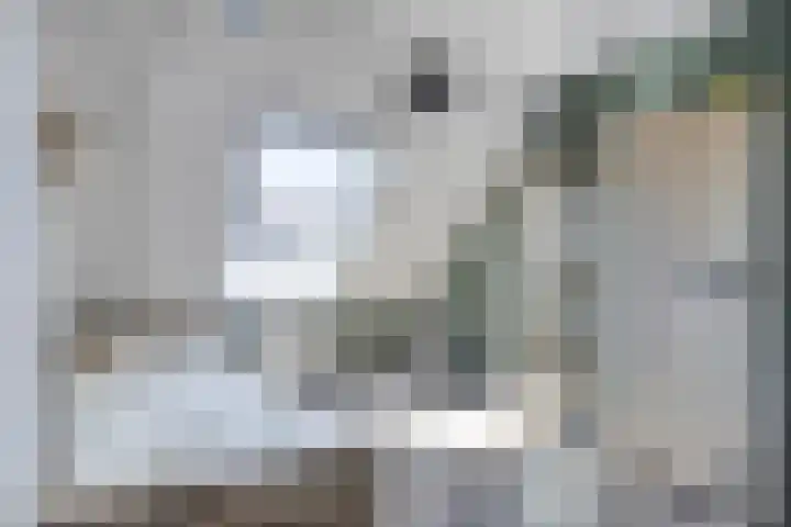Johannes van Zantenplein 17 Kesteren thumbnail 18