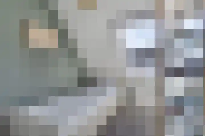Johannes van Zantenplein 17 Kesteren thumbnail 20