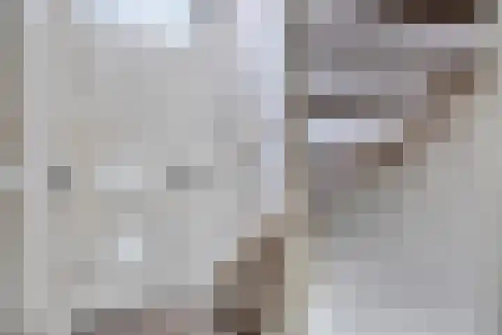 Johannes van Zantenplein 17 Kesteren thumbnail 23
