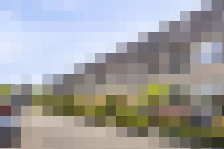 Johannes van Zantenplein 17 Kesteren thumbnail 36