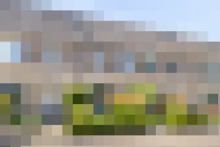 Johannes van Zantenplein 17 Kesteren thumbnail 37