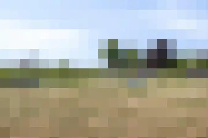 Johannes van Zantenplein 17 Kesteren thumbnail 39