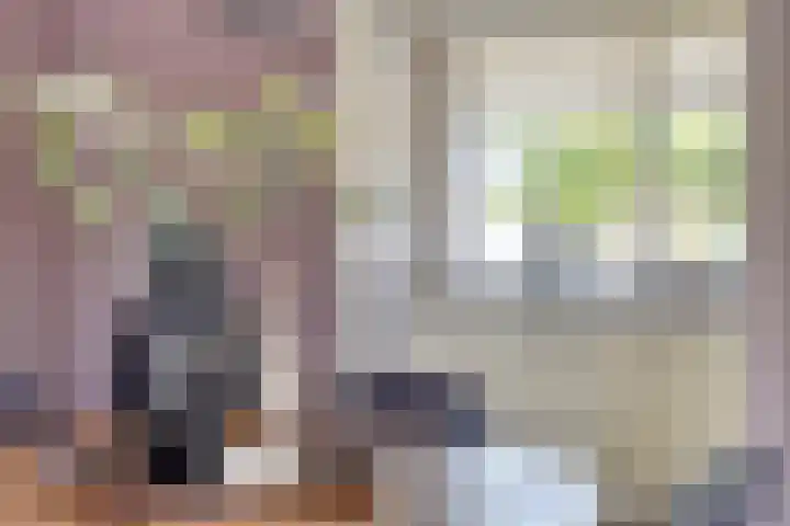 Johannes van Zantenplein 17 Kesteren thumbnail 4
