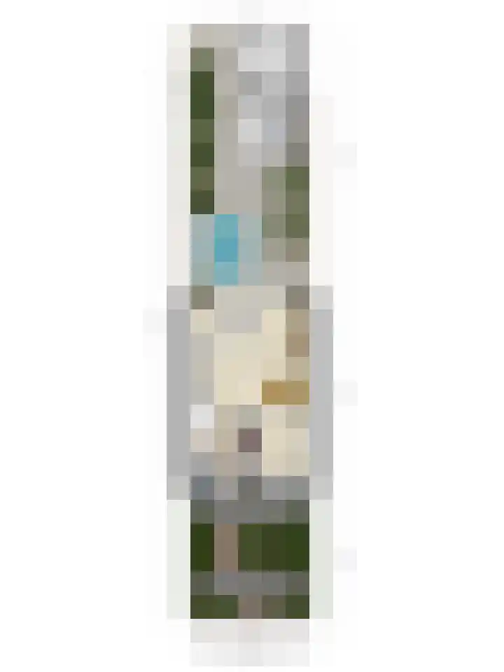 Johannes van Zantenplein 17 Kesteren thumbnail 41
