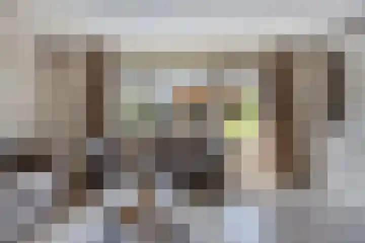 Johannes van Zantenplein 17 Kesteren thumbnail 6