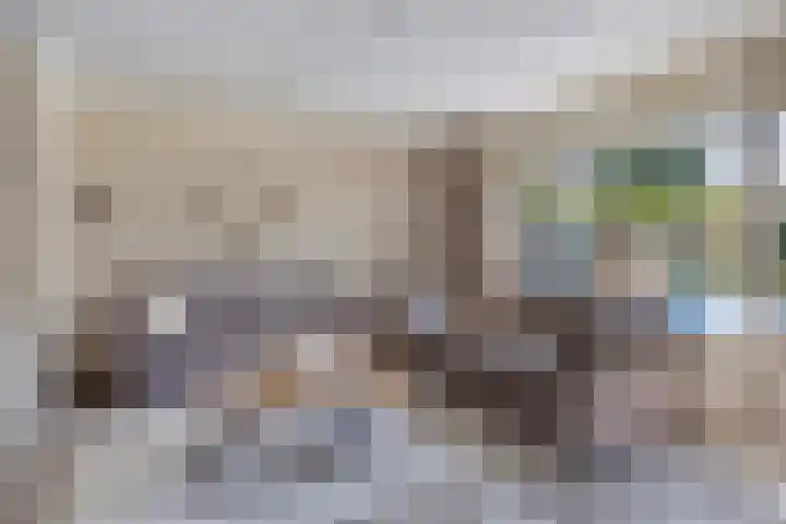 Johannes van Zantenplein 17 Kesteren thumbnail 8