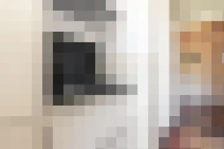 Johannes van Zantenstraat 13 Tilburg thumbnail 12