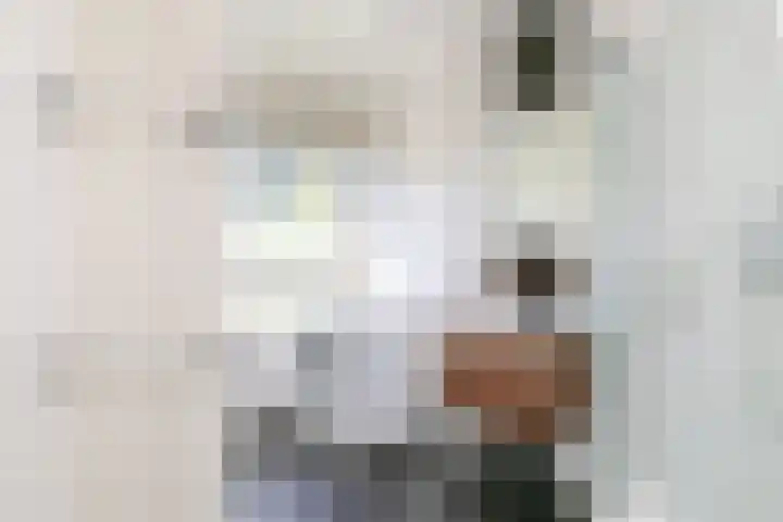 Johannes van Zantenstraat 13 Tilburg thumbnail 15