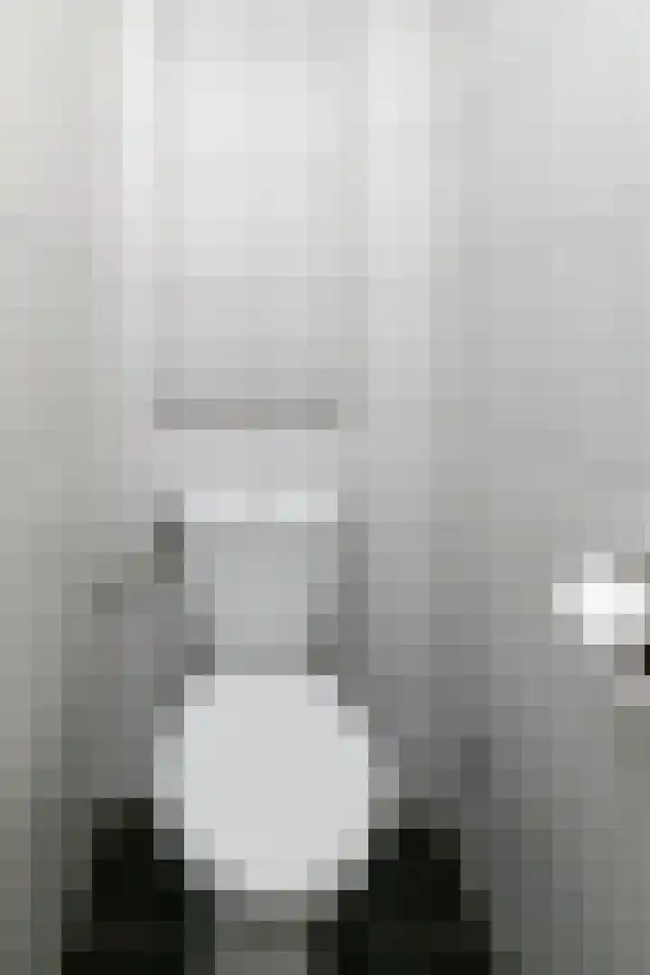 Johannes van Zantenstraat 13 Tilburg thumbnail 17