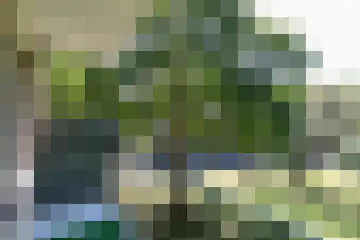 Johannes van Zantenstraat 13 Tilburg thumbnail 26