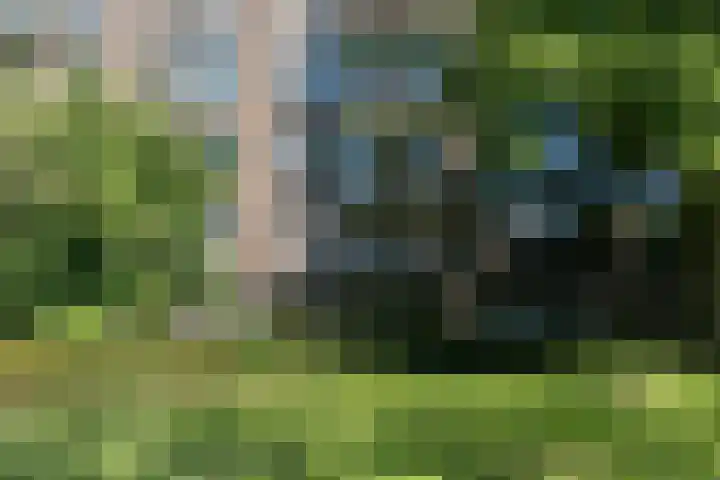 Johannes van Zantenstraat 13 Tilburg thumbnail 30