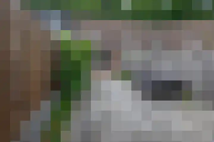 Johannes van Zantenstraat 22 Tilburg thumbnail 19