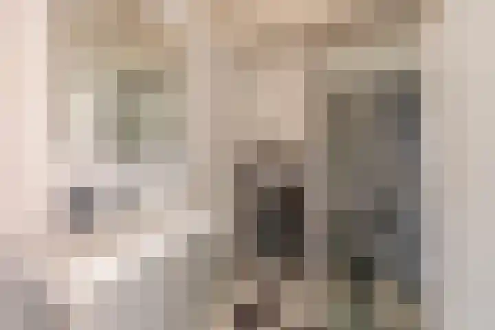 Johannes van Zantenstraat 22 Tilburg thumbnail 25