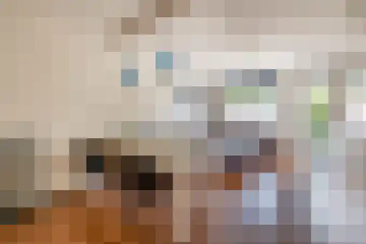 Johannes van Zantenstraat 22 Tilburg thumbnail 6