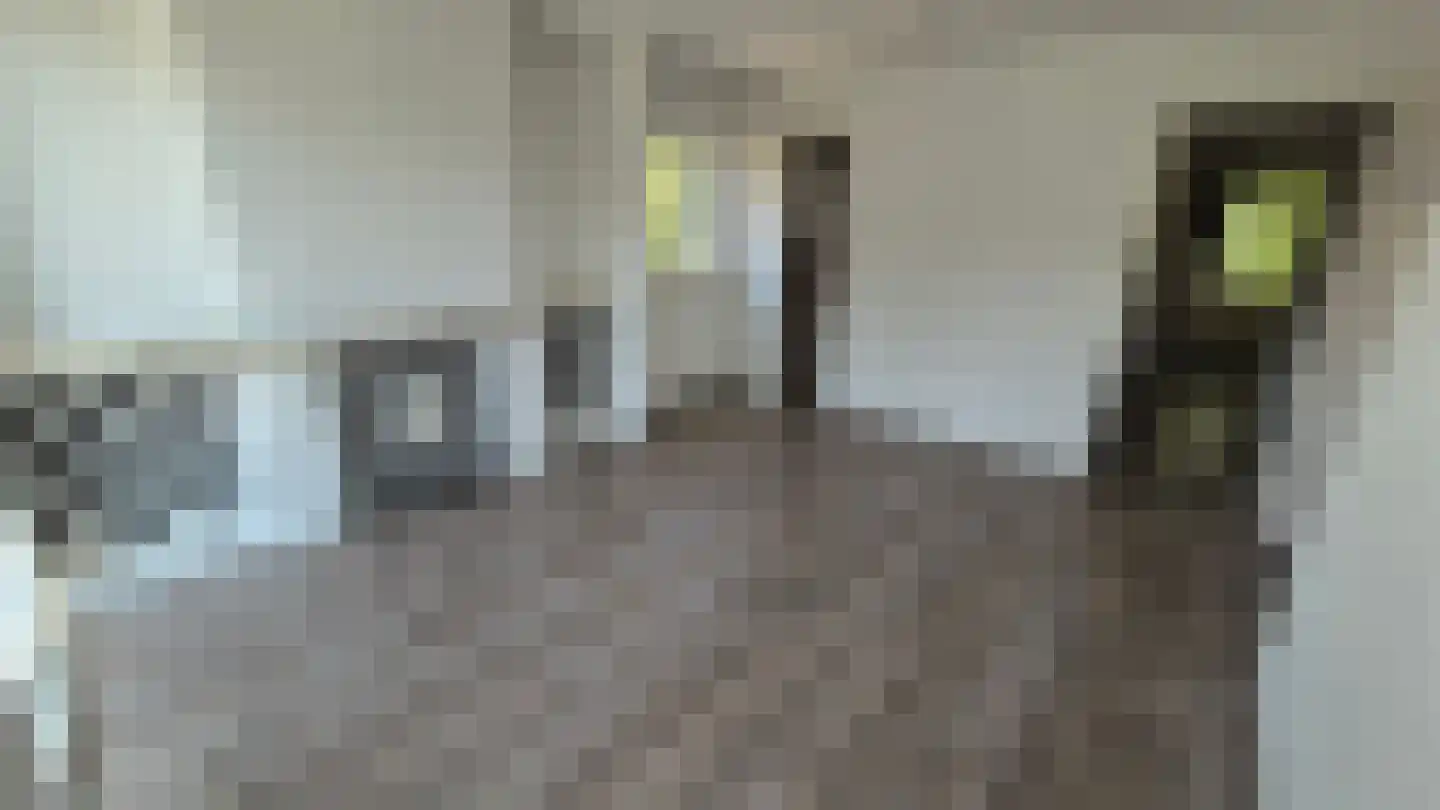 Johannes van Zantenstraat 23 Tilburg thumbnail 16